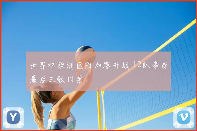世界杯欧洲区附加赛开战 12队争夺最后三张门票