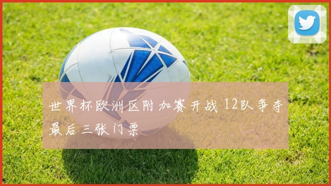 世界杯欧洲区附加赛开战 12队争夺最后三张门票