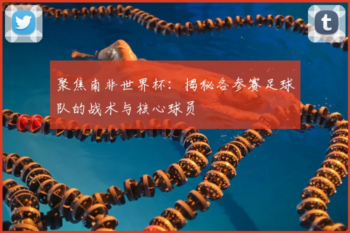 聚焦南非世界杯:揭秘各参赛足球队的战术与核心球员