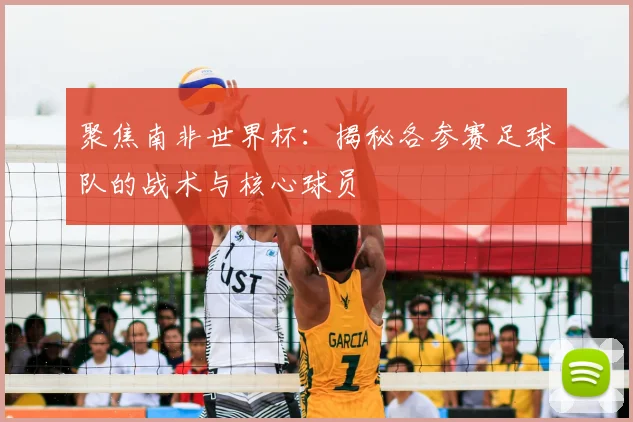 聚焦南非世界杯:揭秘各参赛足球队的战术与核心球员