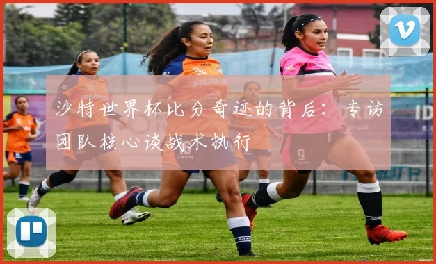 沙特世界杯比分奇迹的背后：专访团队核心谈战术执行