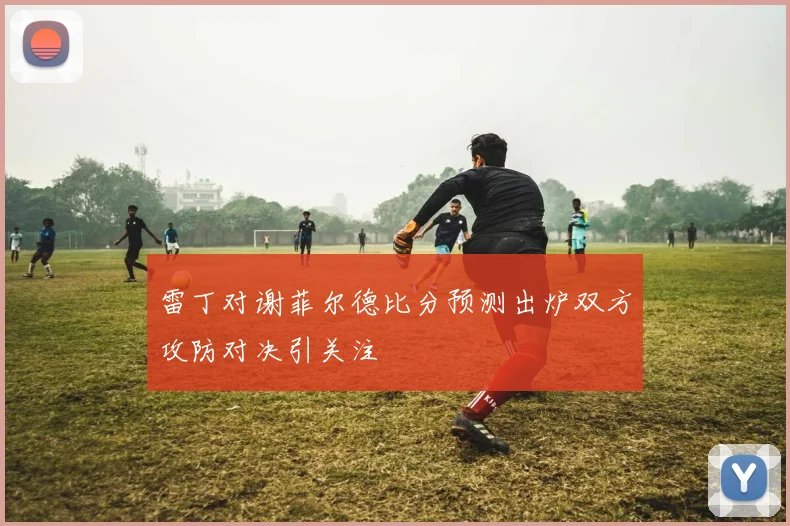 雷丁对谢菲尔德比分预测出炉双方攻防对决引关注
