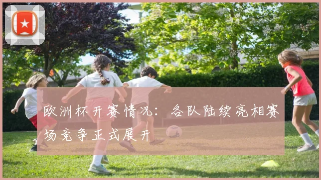 欧洲杯开赛情况:各队陆续亮相赛场竞争正式展开