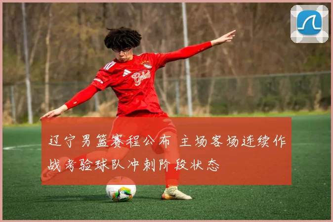 辽宁男篮赛程公布 主场客场连续作战考验球队冲刺阶段状态