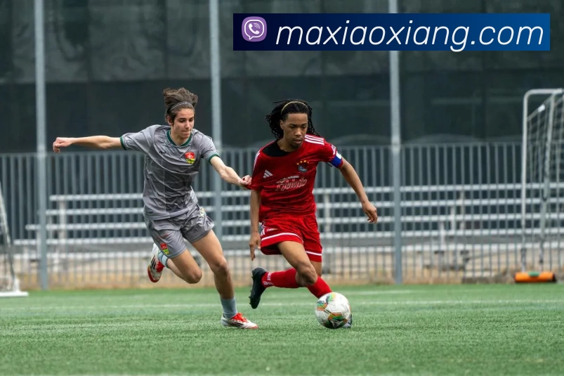 数据防护可视化